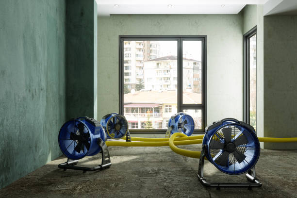 Best Sewage cleanup and water damage restoration  in Sunset Beach, NC